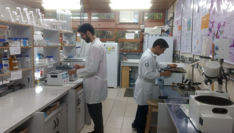 Laboratório de Polímeros Nanoestruturados (NanoPol)